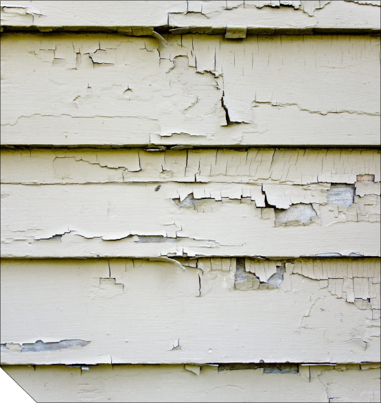 Damaged Siding